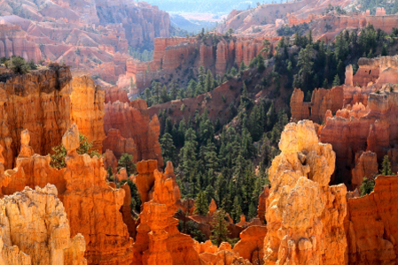 Photo of Bryce Canyon with the famous glow lighting